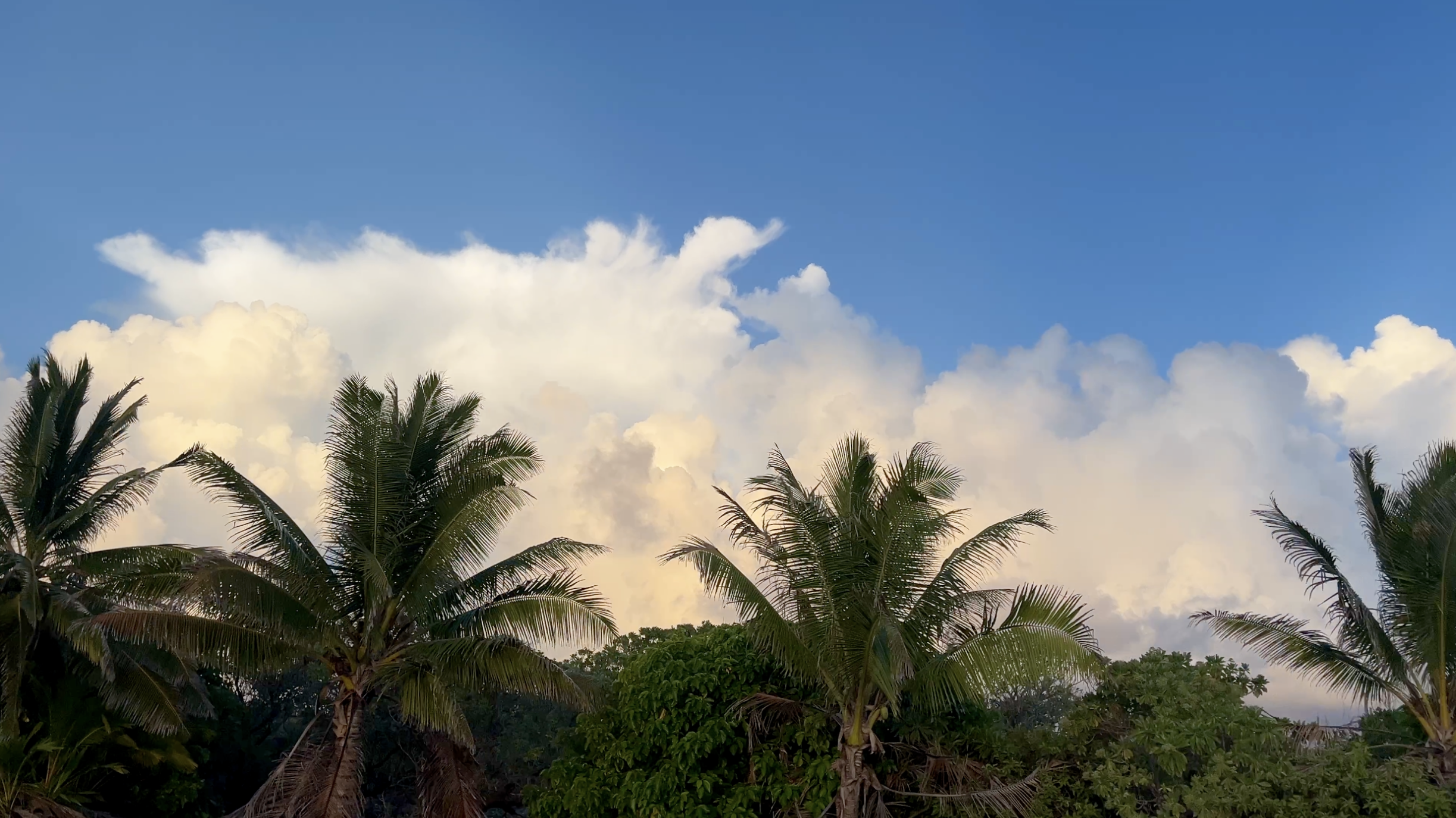  An Ode to the Dynamic Dipole